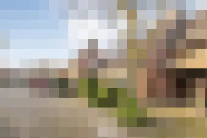 Loezekamp 21 Zwolle thumbnail 38