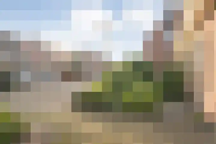 Loezekamp 21 Zwolle thumbnail 40