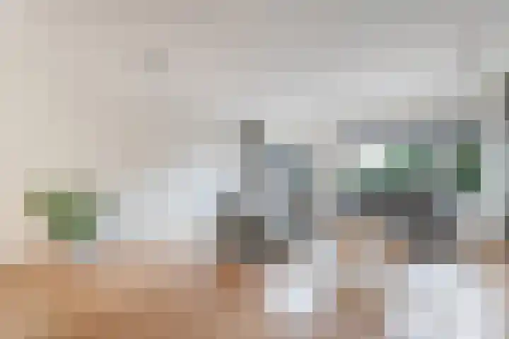 Loezekamp 21 Zwolle thumbnail 6