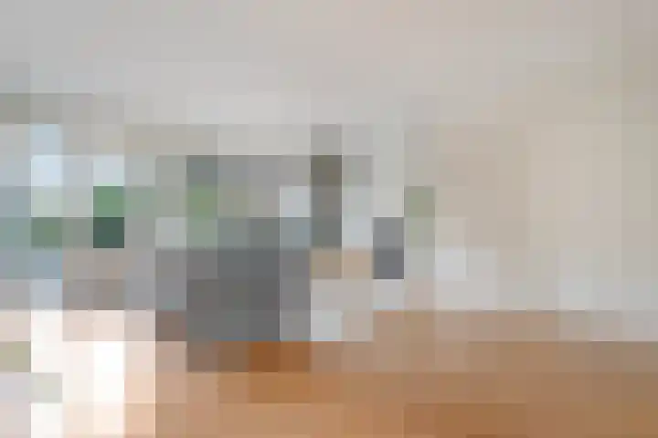 Loezekamp 21 Zwolle thumbnail 7
