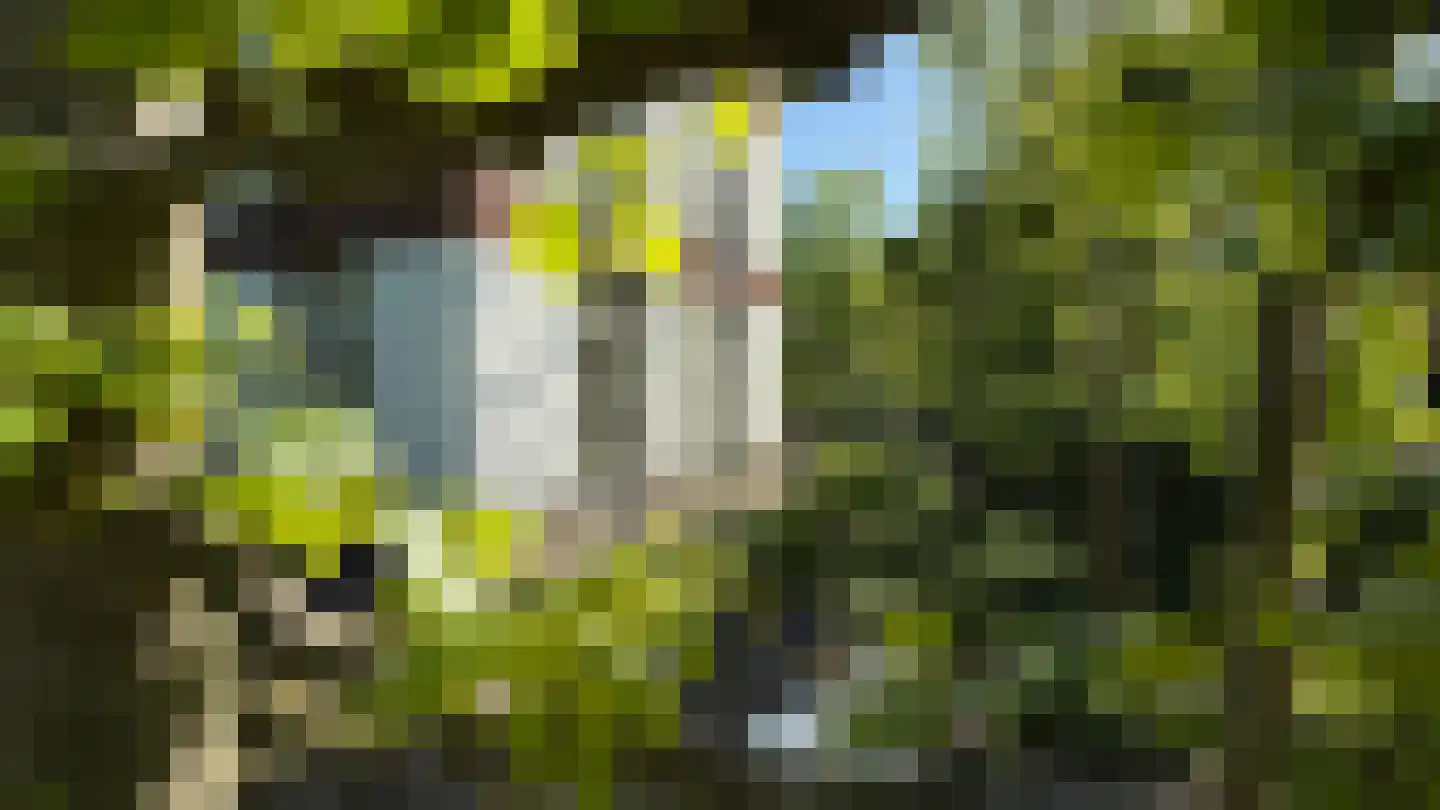 Lofoten 1 Amersfoort thumbnail 22