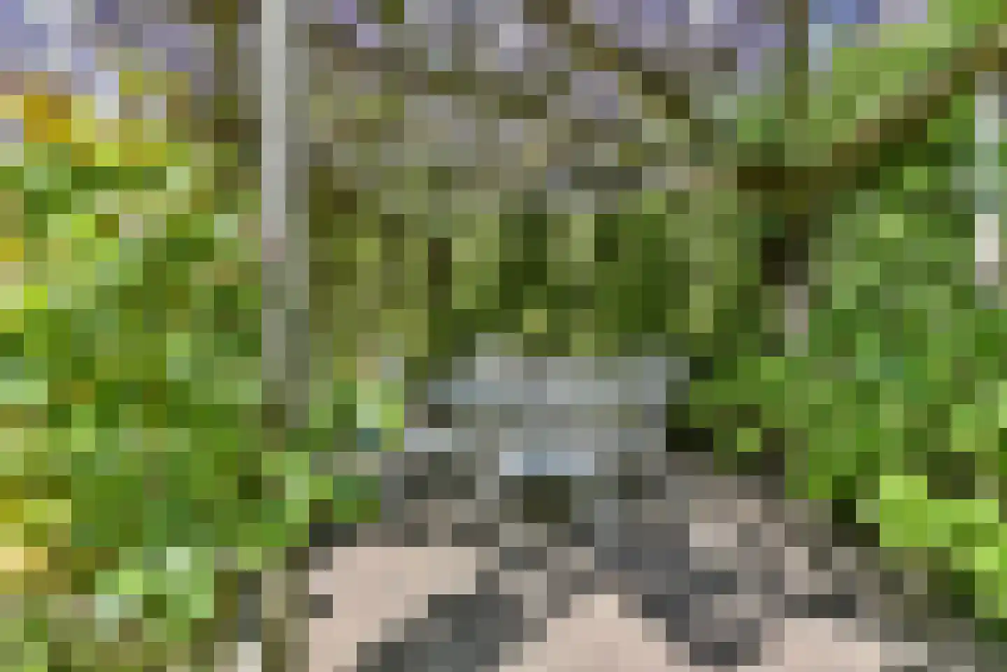 Lofoten 1 Amersfoort thumbnail 24