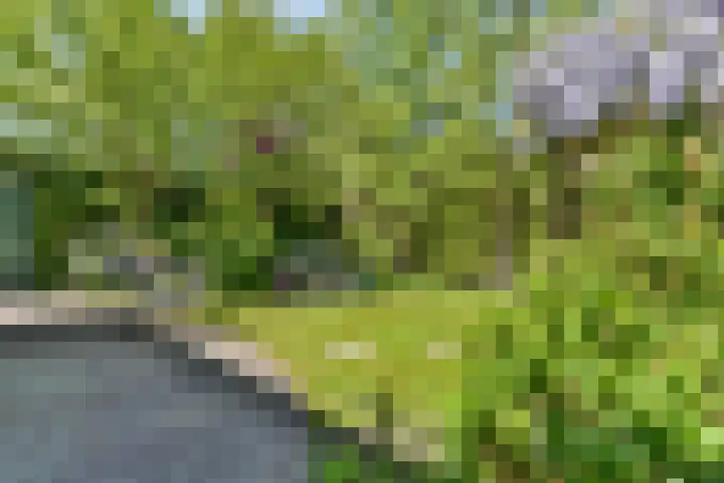 Lofoten 1 Amersfoort thumbnail 25