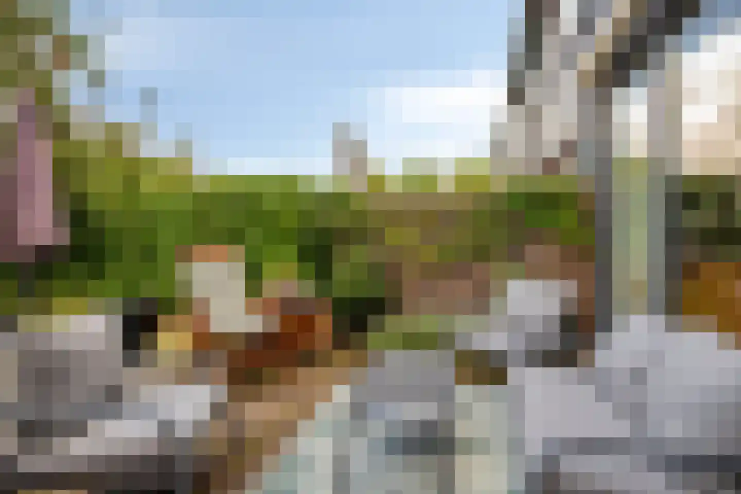 Lofoten 11 Capelle aan den IJssel thumbnail 8