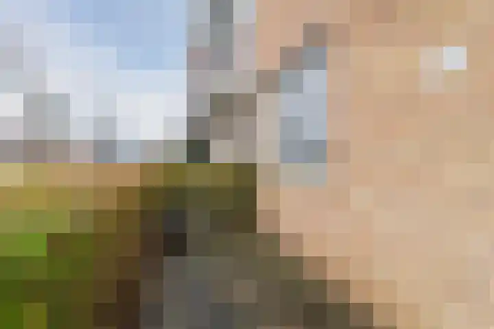 Lofoten 115 Zoetermeer thumbnail 4