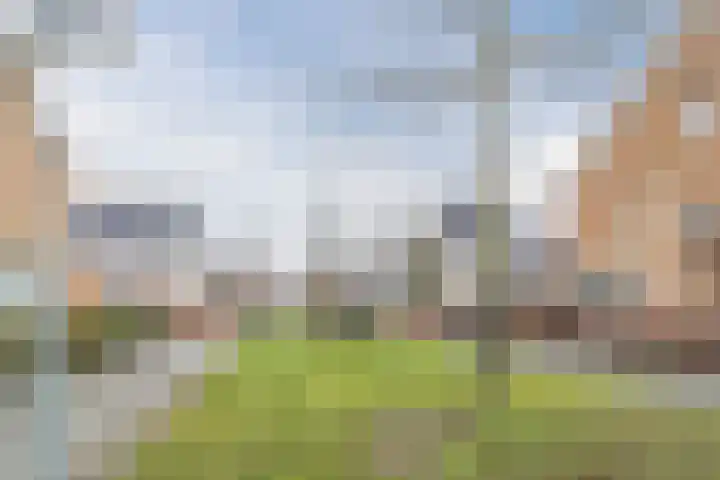 Lofoten 115 Zoetermeer thumbnail 44