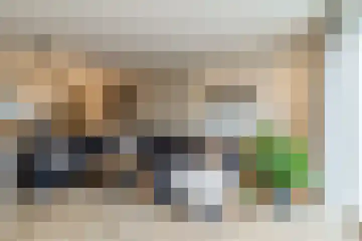 Lofoten 115 Zoetermeer thumbnail 9