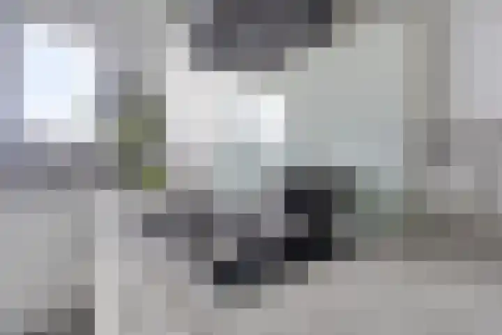Lofoten 149 Zoetermeer thumbnail 18