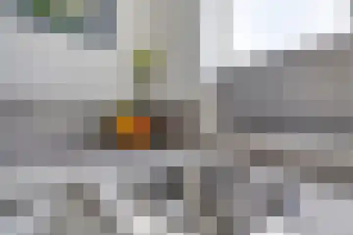Lofoten 149 Zoetermeer thumbnail 19