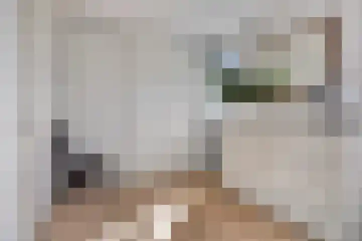 Lofoten 149 Zoetermeer thumbnail 31