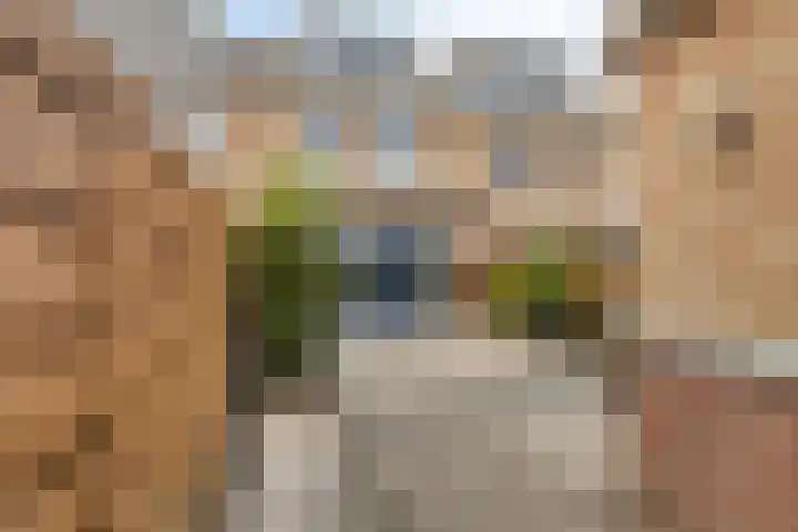 Lofoten 149 Zoetermeer thumbnail 40