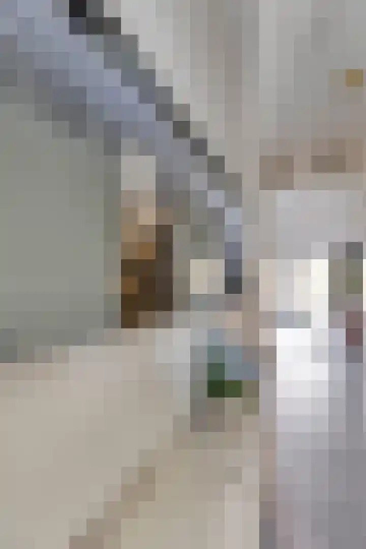 Lofoten 149 Zoetermeer thumbnail 9