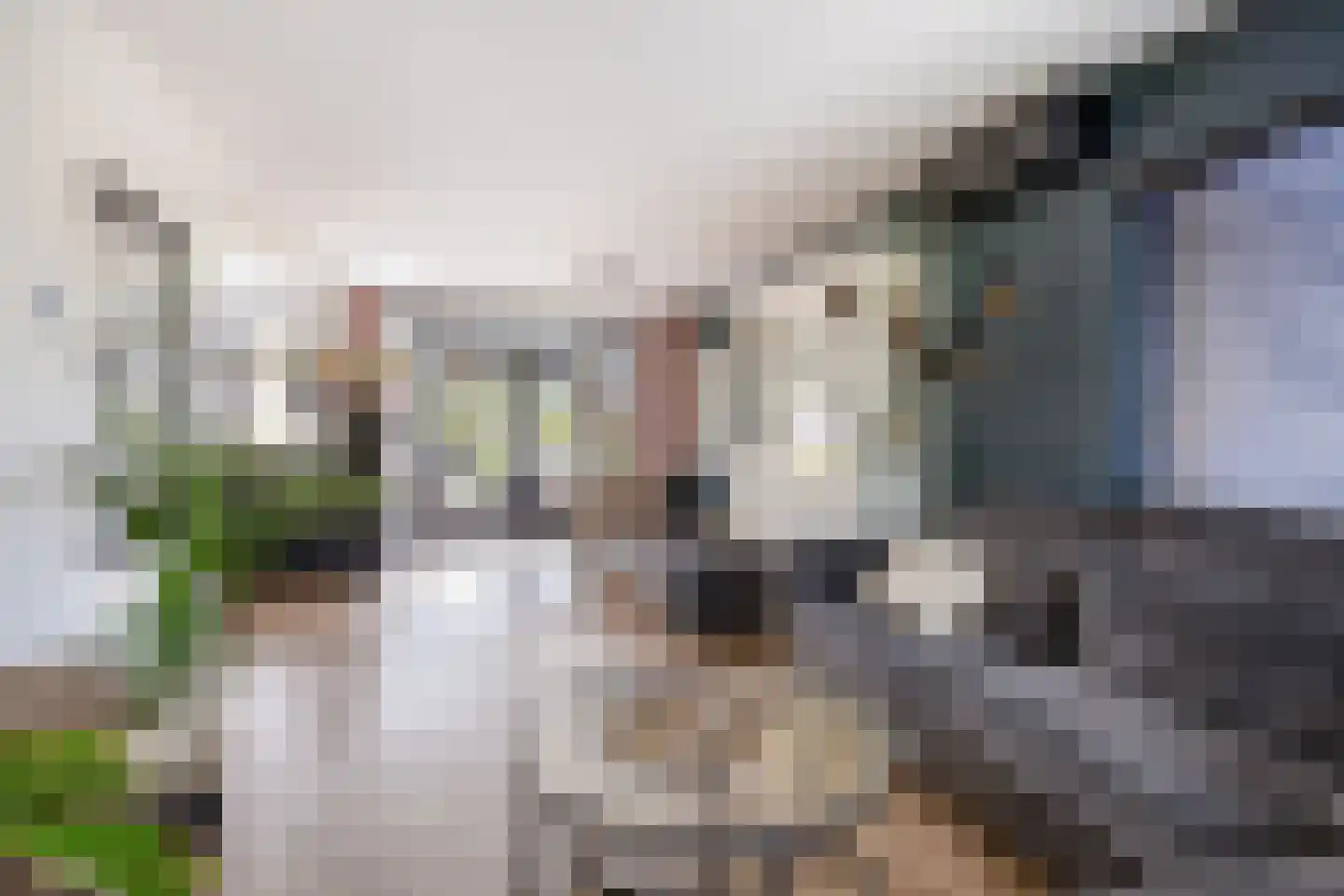 Lofoten 2 Emmeloord thumbnail 22