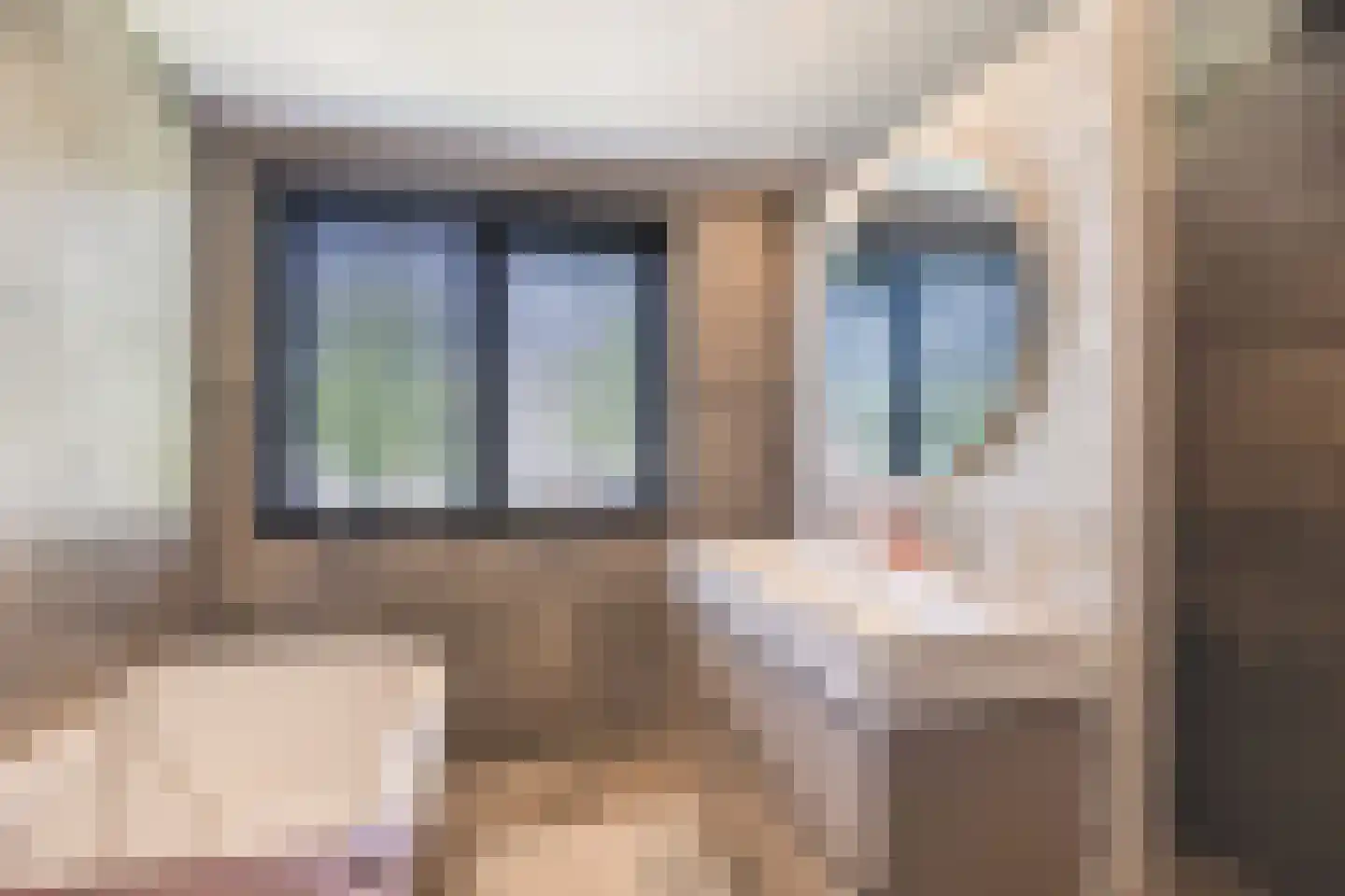 Lofoten 2 Emmeloord thumbnail 54