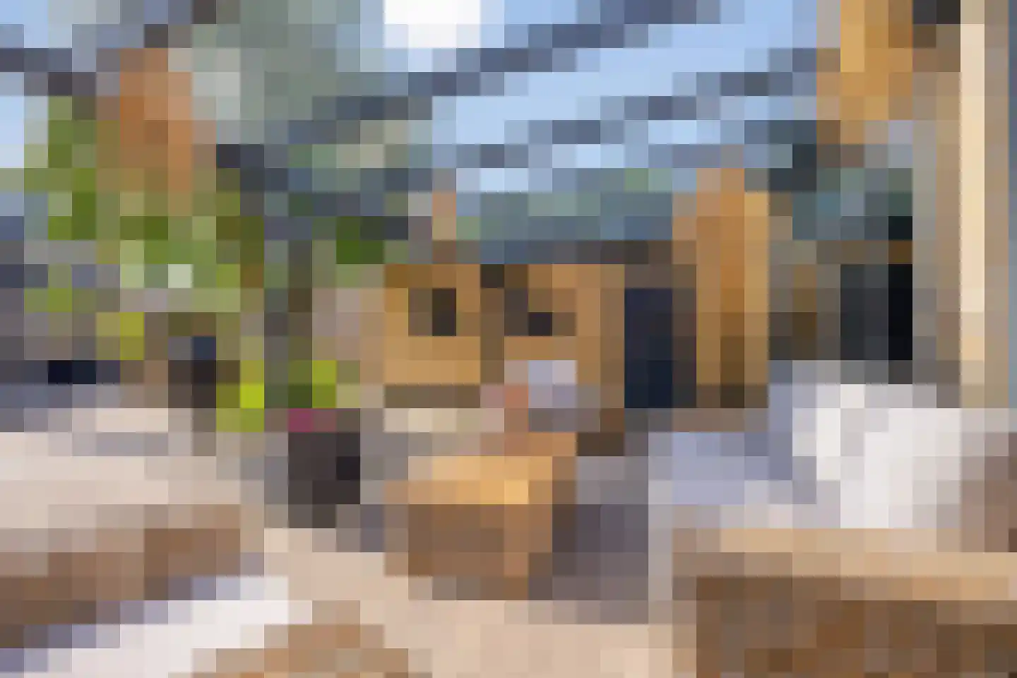 Lofoten 2 Emmeloord thumbnail 69