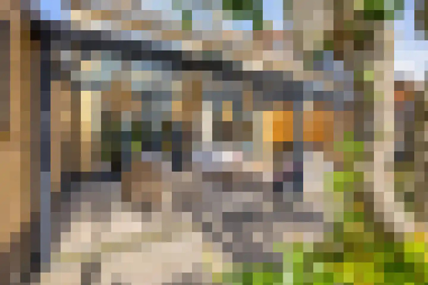 Lofoten 2 Emmeloord thumbnail 70