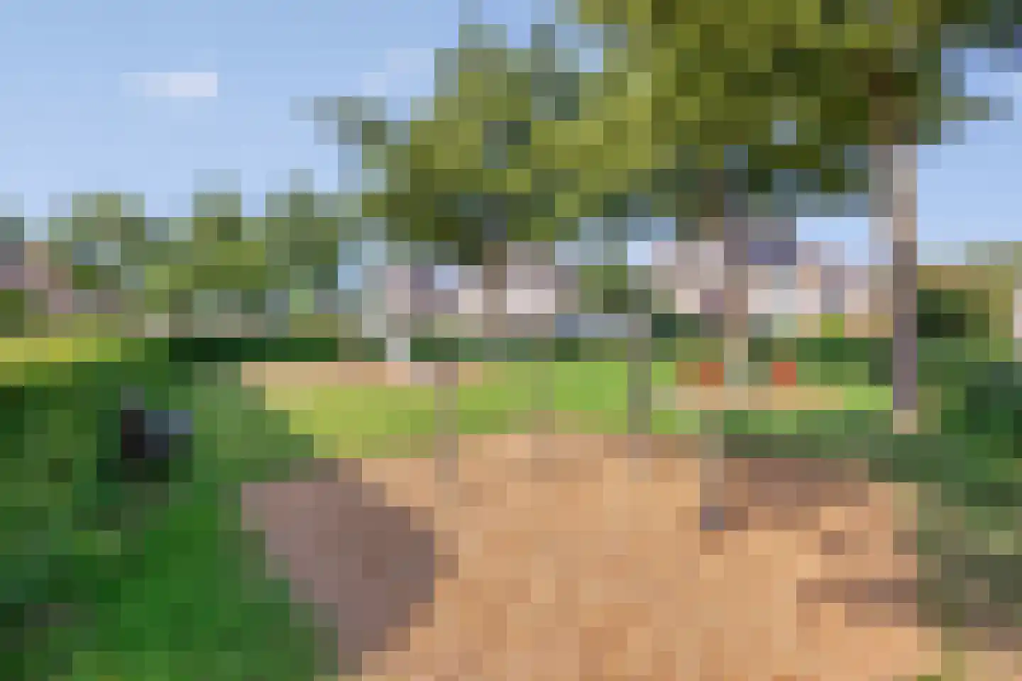 Lofoten 2 Emmeloord thumbnail 79