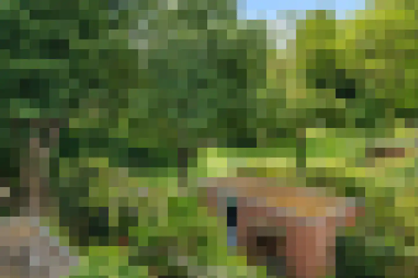 Lofoten 30 Utrecht thumbnail 36