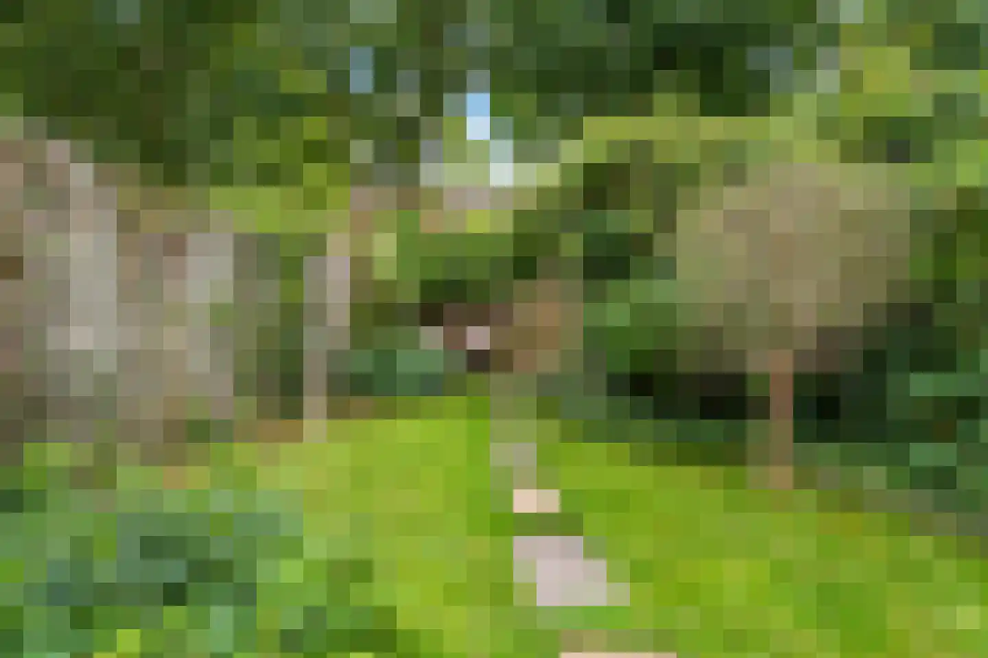 Lofoten 30 Utrecht thumbnail 38