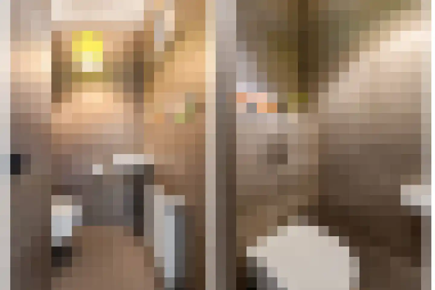 Lofoten 30 Utrecht thumbnail 6
