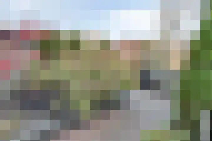 Lofoten 42 Zoetermeer thumbnail 20