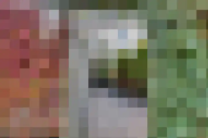 Lofoten 42 Zoetermeer thumbnail 23