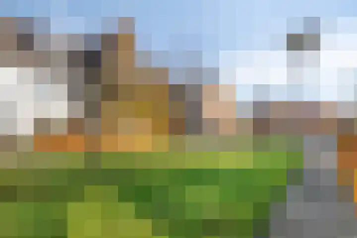 Lofoten 42 Zoetermeer thumbnail 46
