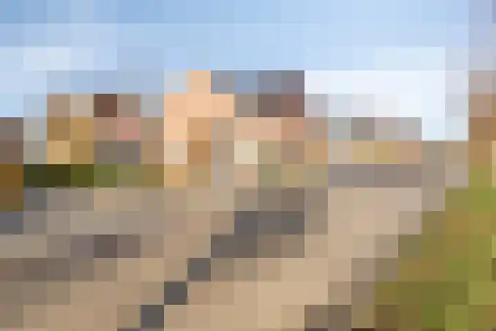 Lofoten 42 Zoetermeer thumbnail 48