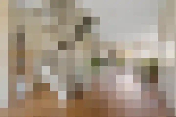 Lofoten 44 Zoetermeer thumbnail 12