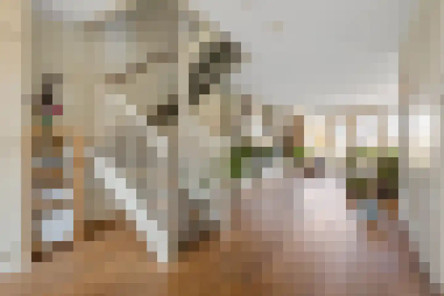 Lofoten 44 Zoetermeer thumbnail 12