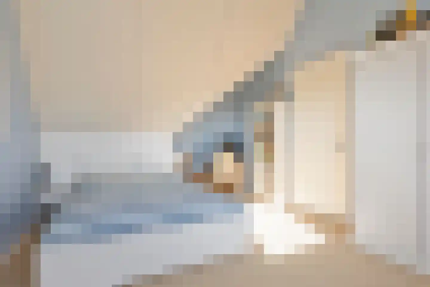 Lofoten 44 Zoetermeer thumbnail 33