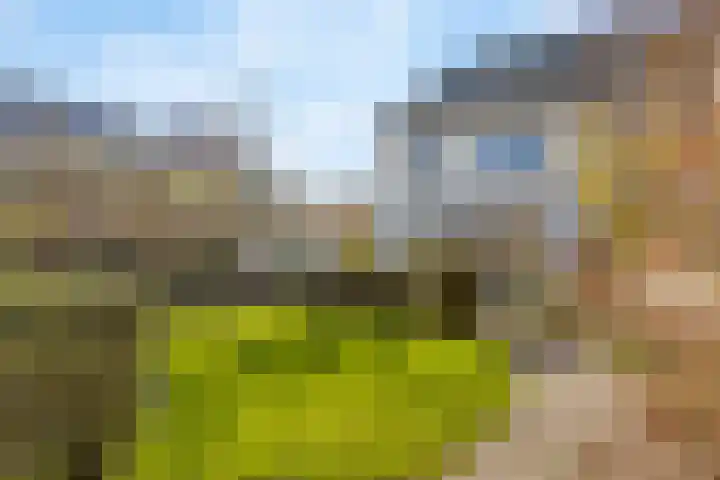 Lofoten 44 Zoetermeer thumbnail 41