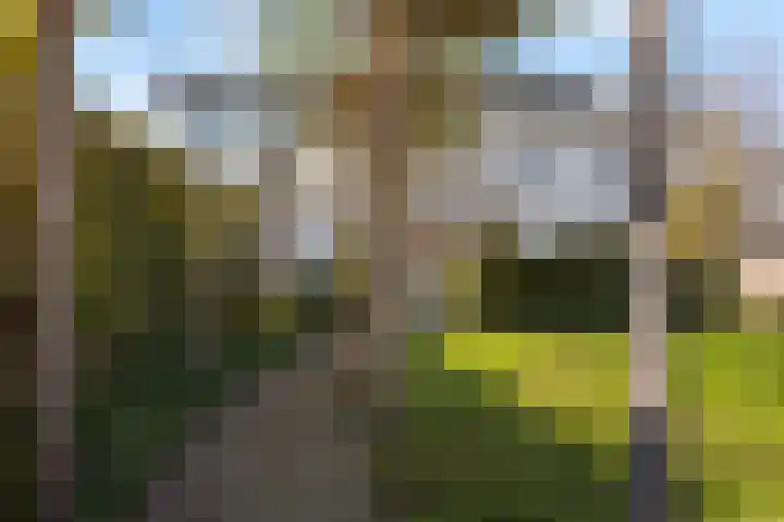 Lofoten 44 Zoetermeer thumbnail 42