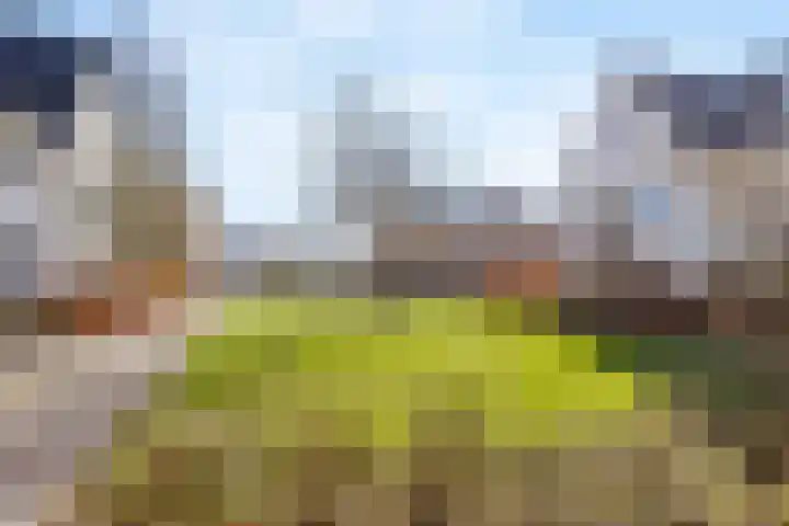 Lofoten 44 Zoetermeer thumbnail 49