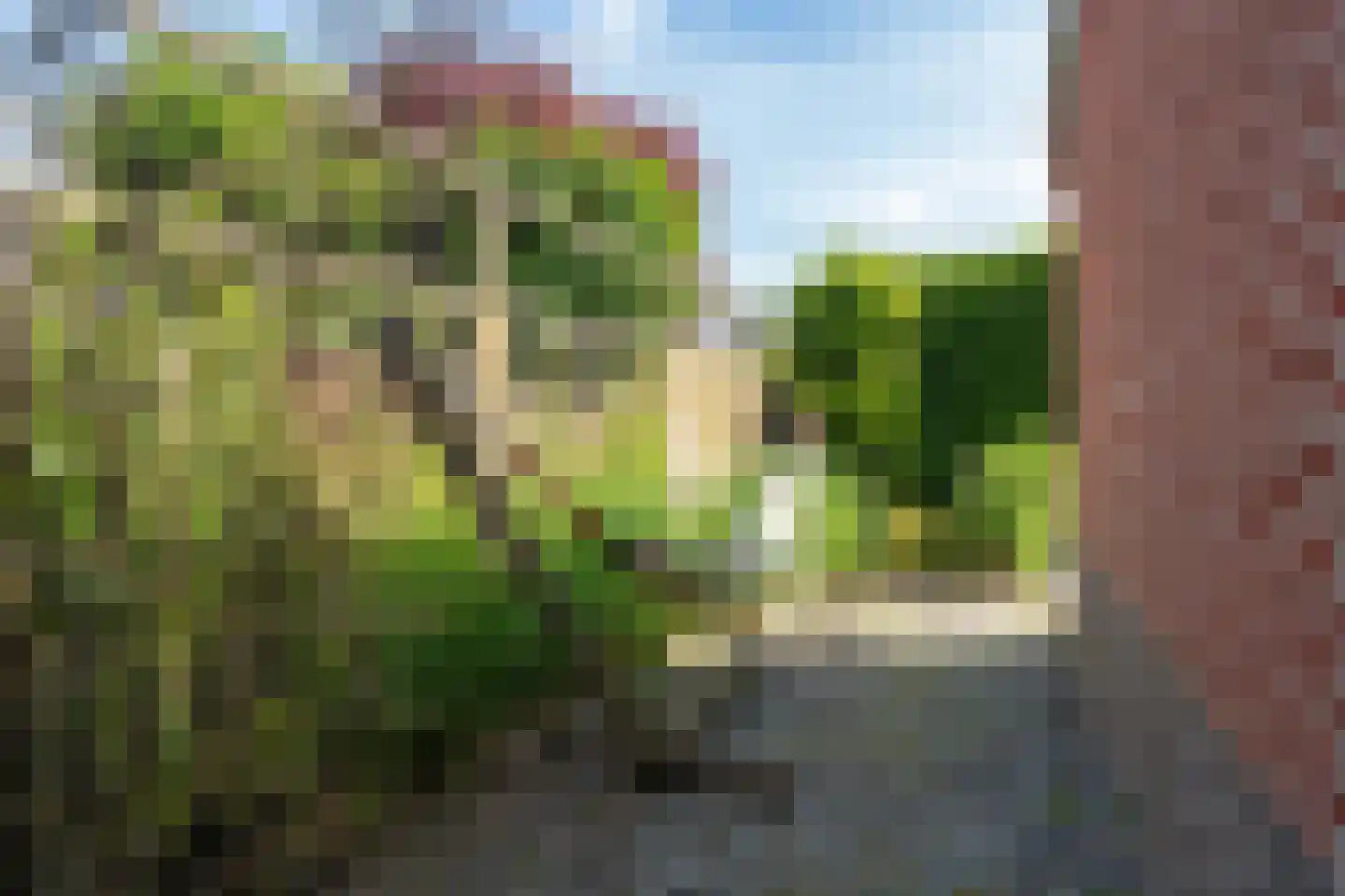 Lofoten 54 Zoetermeer thumbnail 35