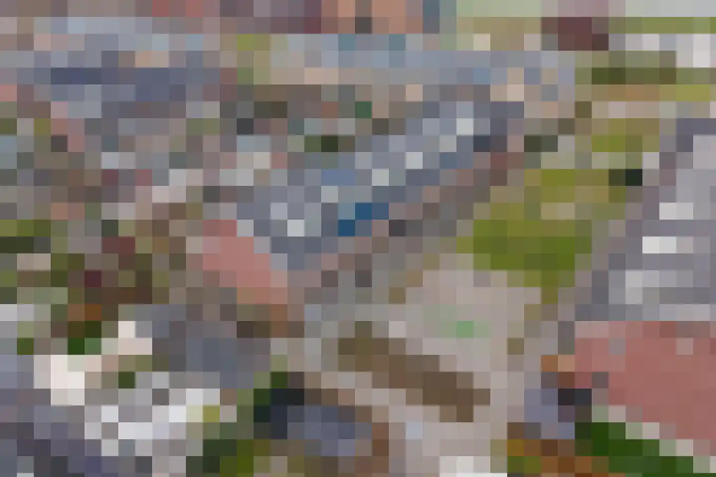 Lofoten 54 Zoetermeer thumbnail 5