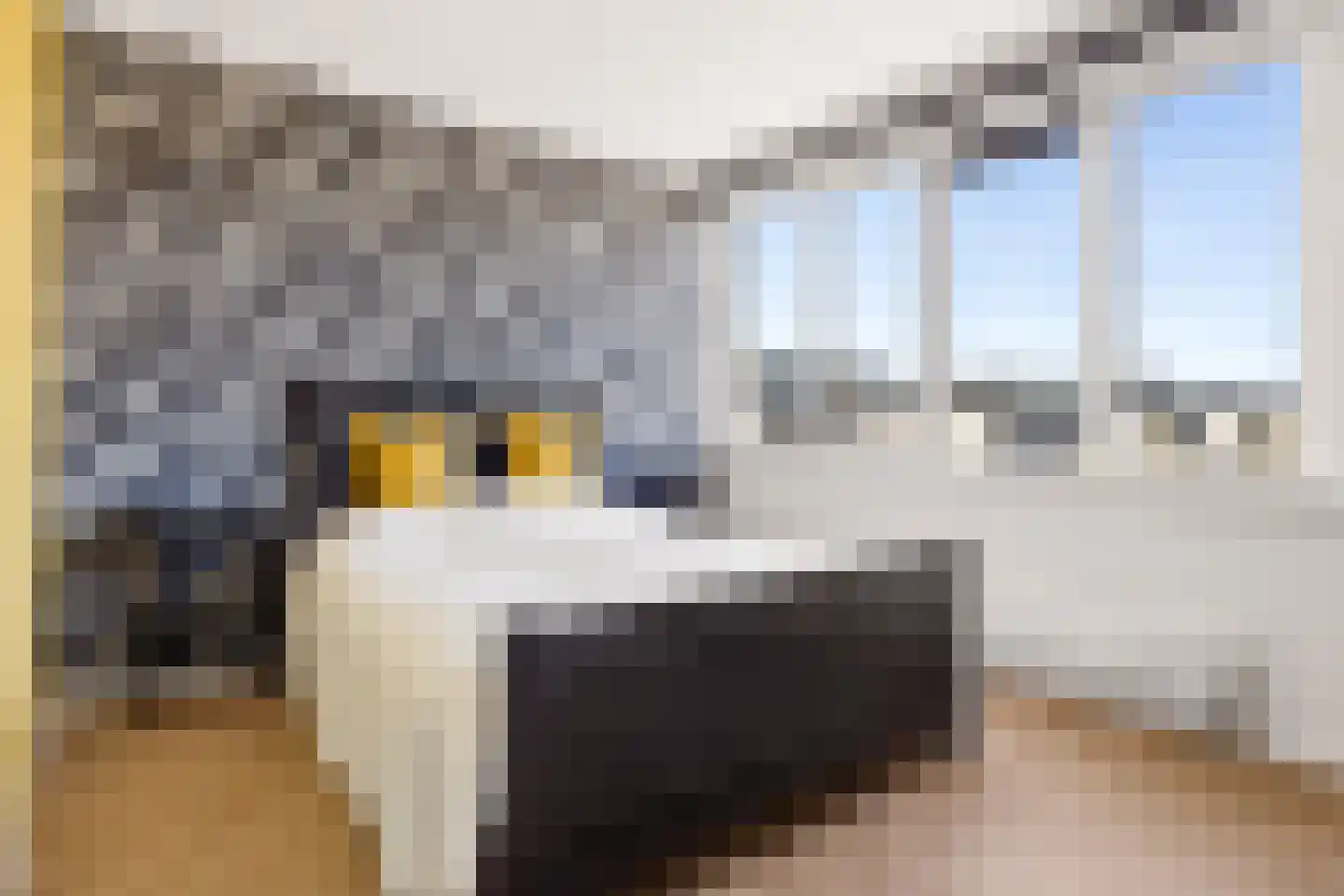 Lofotenweg 2 Almere thumbnail 66