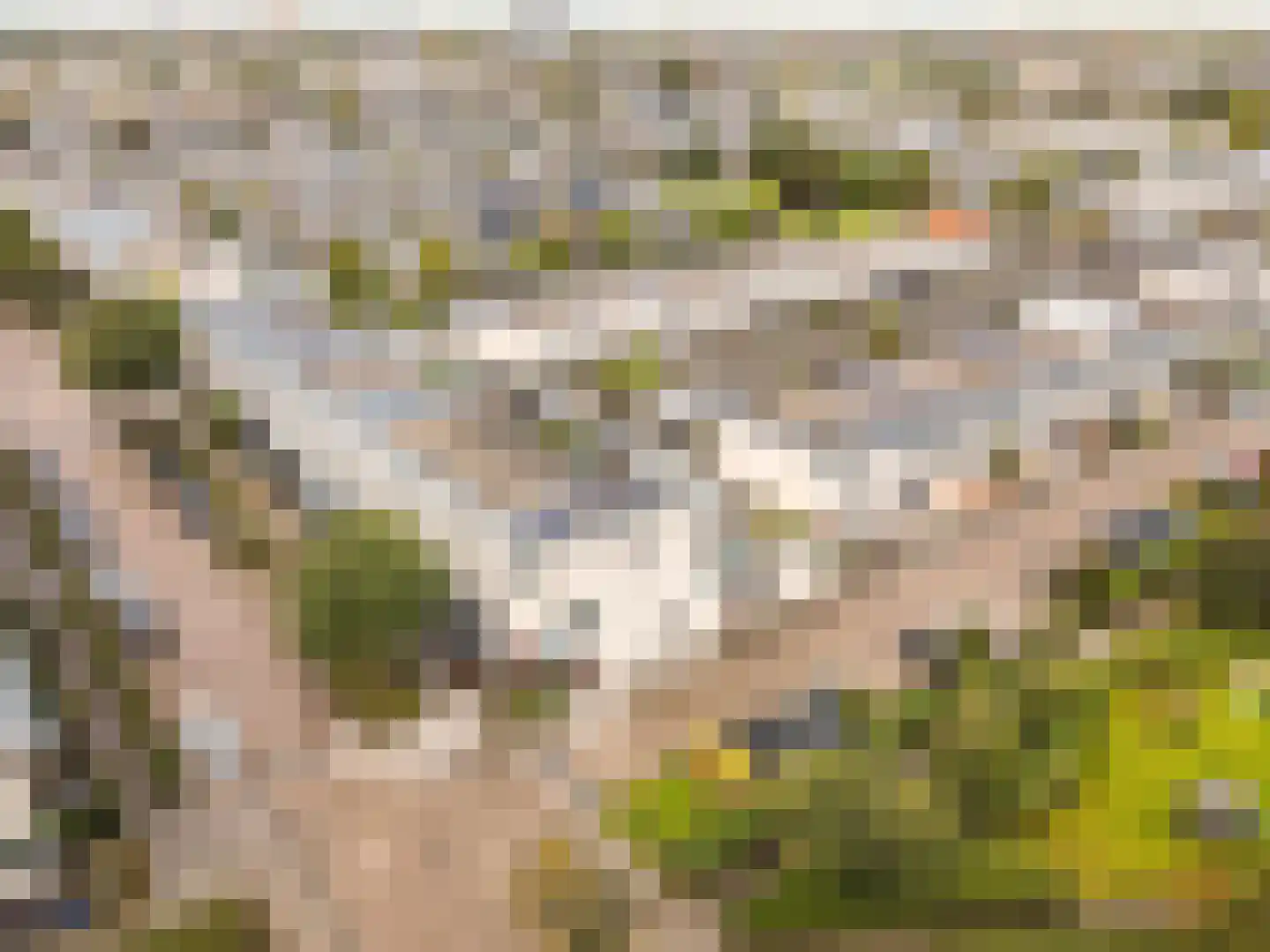 Lofotenweg 65 Almere thumbnail 41