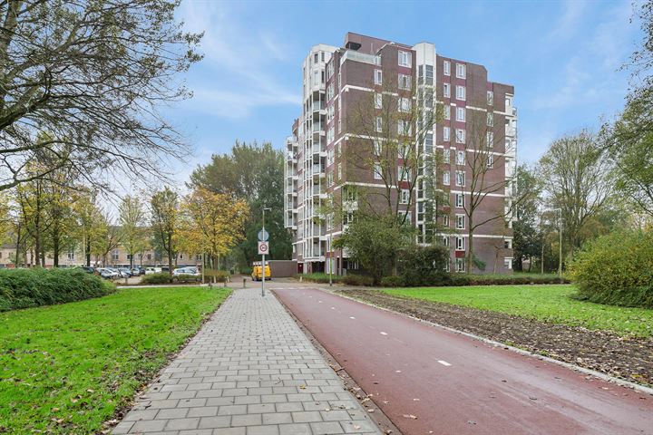 Logger 123 in Amstelveen foto