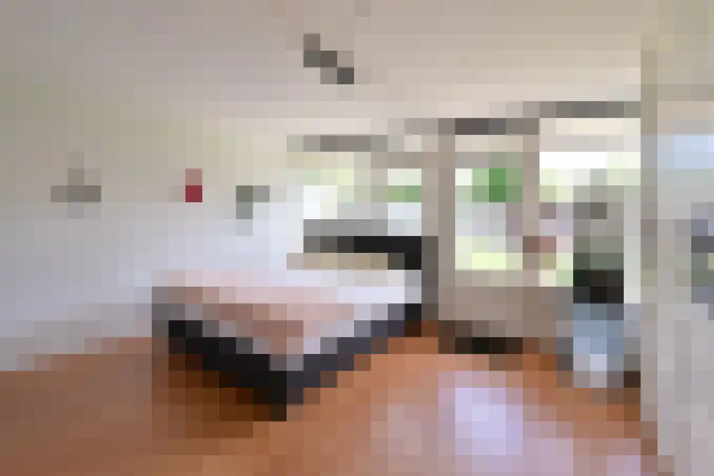 Logger 13 Huizen thumbnail 13