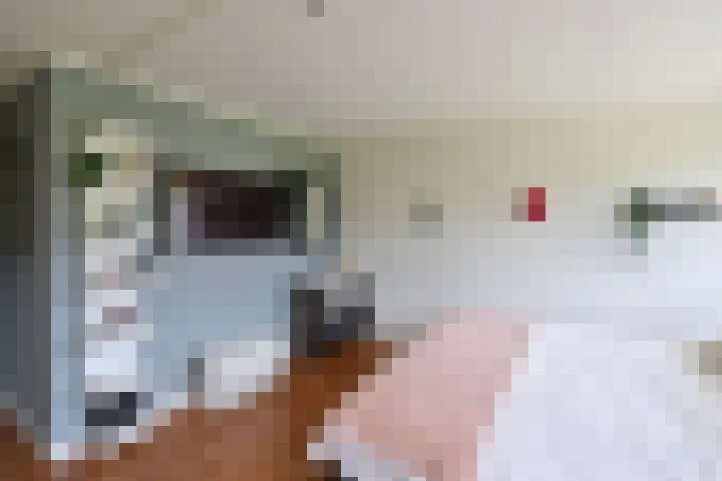 Logger 13 Huizen thumbnail 14