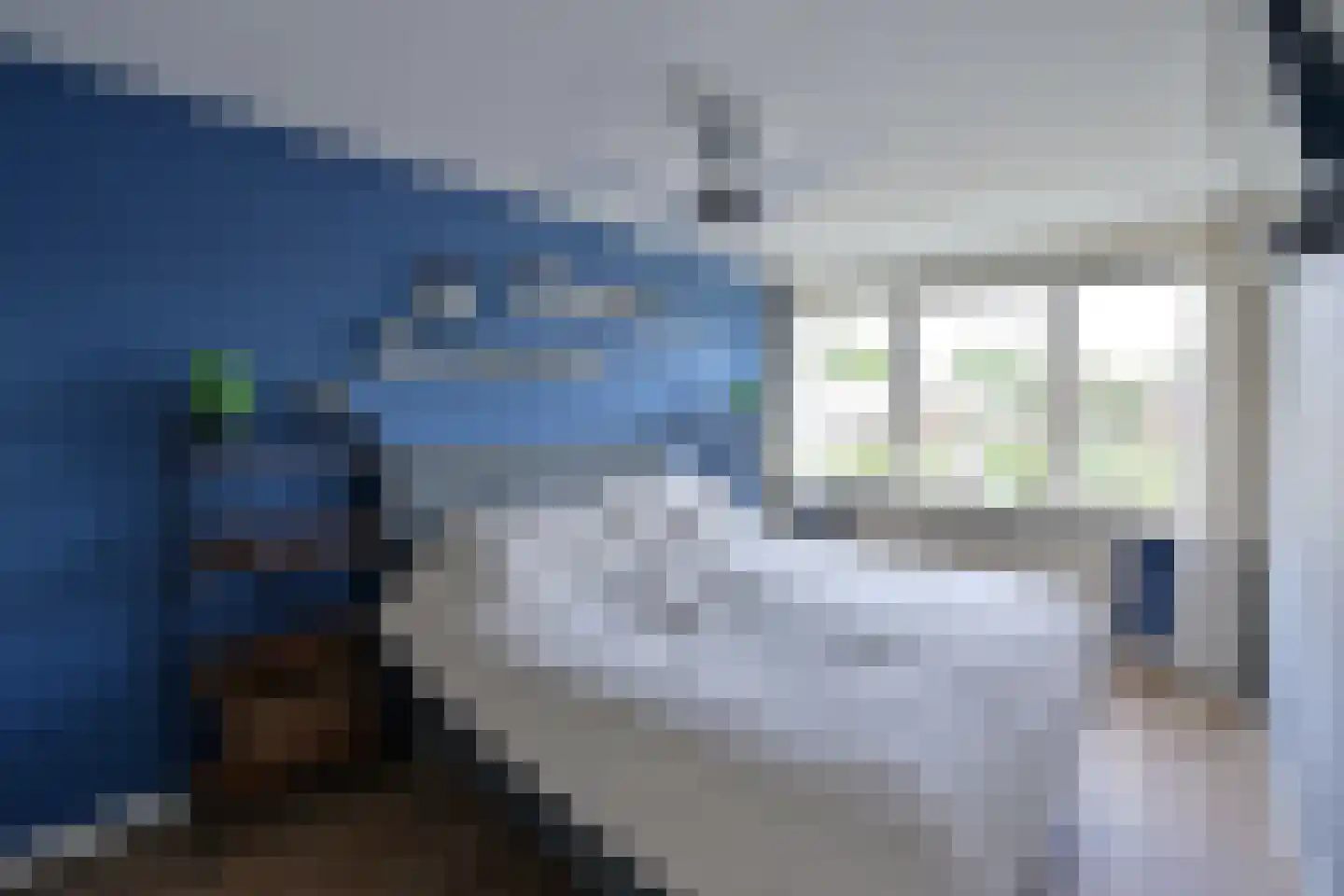 Logger 13 Huizen thumbnail 8