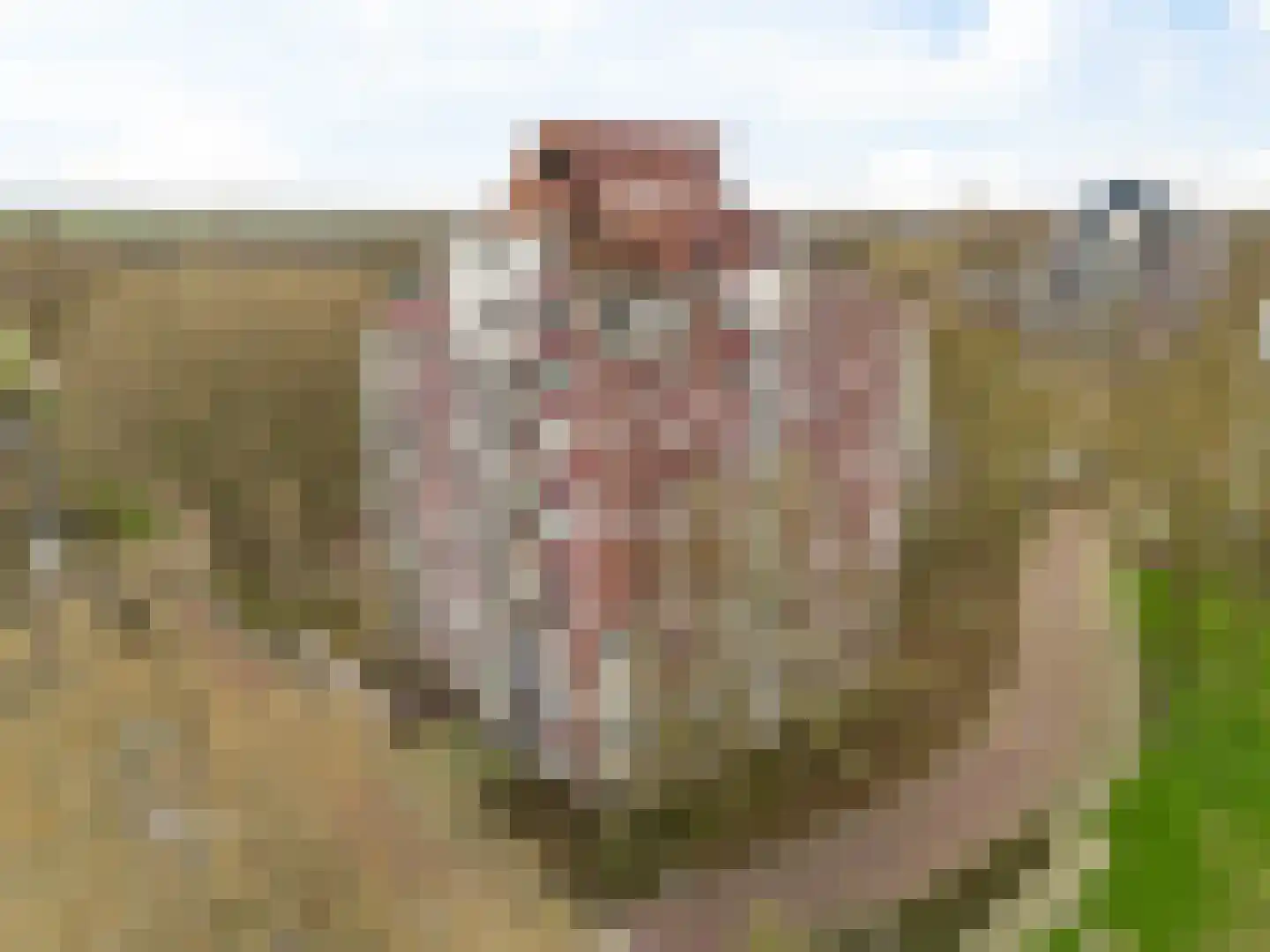 Logger 131 Amstelveen thumbnail 21