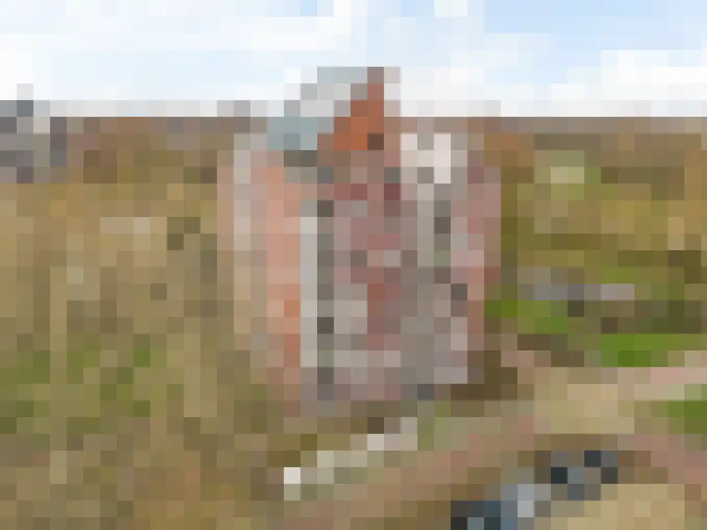 Logger 131 Amstelveen thumbnail 22