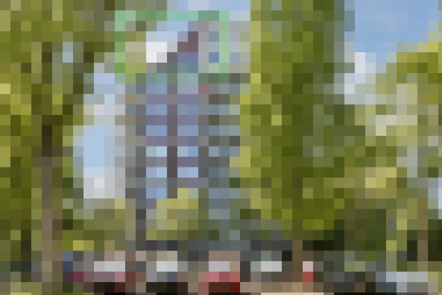 Logger 149 Amstelveen thumbnail 15