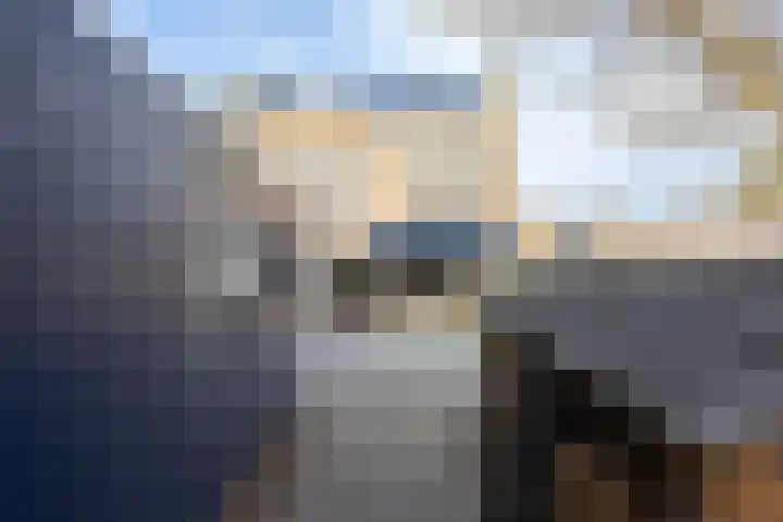 Logger 15 Maassluis thumbnail 25
