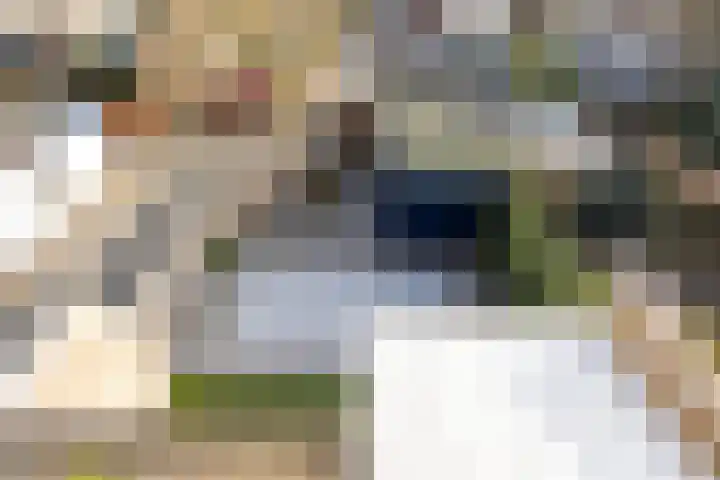 Logger 15 Maassluis thumbnail 33