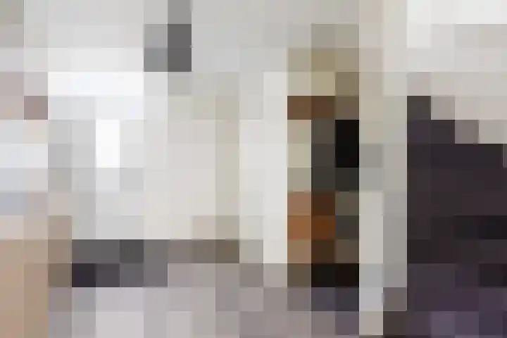 Logger 15 Maassluis thumbnail 5