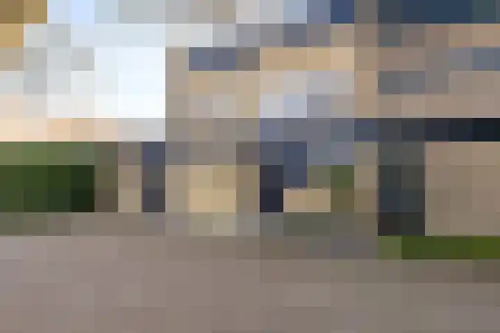 Logger 15 Maassluis thumbnail 50