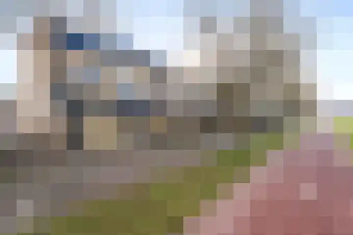 Logger 15 Maassluis thumbnail 51